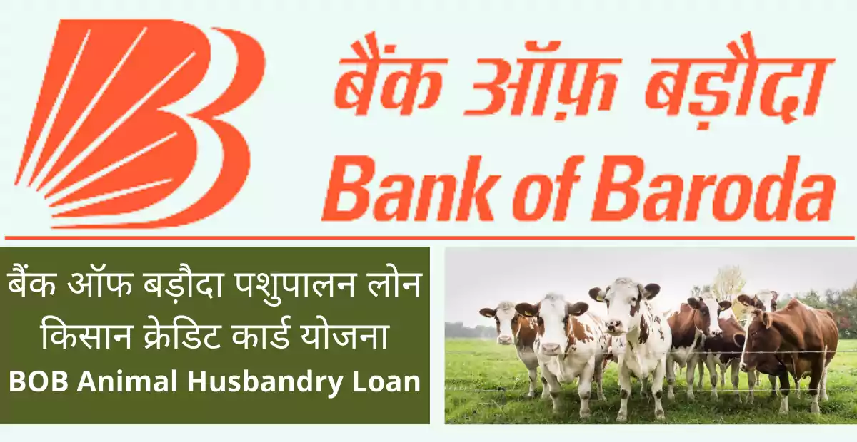 बैंक ऑफ बड़ौदा पशुपालन लोन | किसान क्रेडिट कार्ड योजना | BOB Animal  Husbandry Loan Hindi - Read Hindi